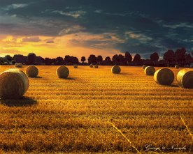 Strohballen Ernte Abendsonne – Ländliche Landschaftsfotografie