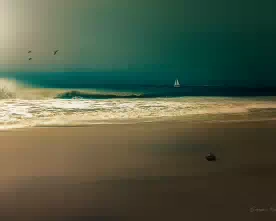 Coconut Beach 276w
