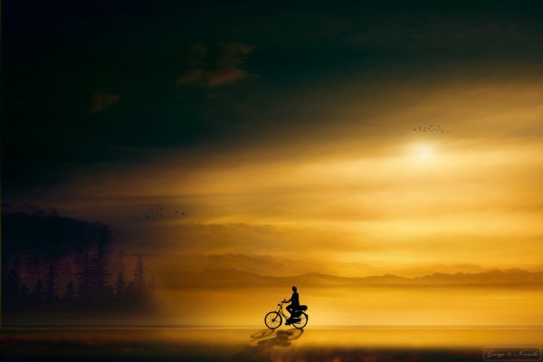 Cyclist in the evening Sun – Natur-Landschaften Fotografie | George Nevrela