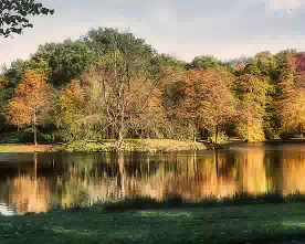 Parksee Panorama 7595 pan 1920 276w