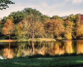 Parksee Panorama – Weitwinkel Landschaftsfotografie