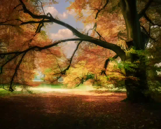 Vivid Tree Art 552w