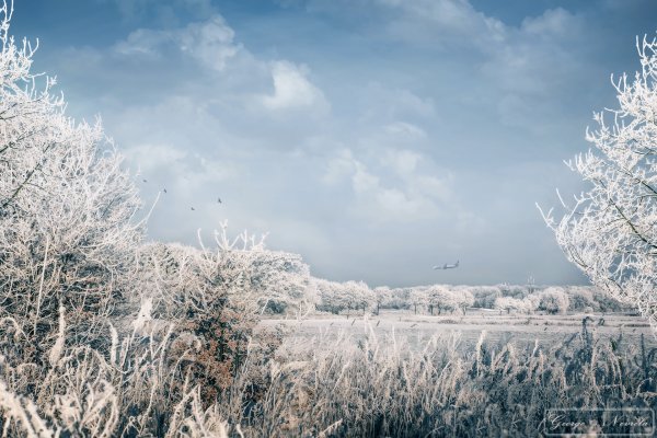 Winter Landschaft am Flughafen – Natur-Landschaften Fotografie | George Nevrela