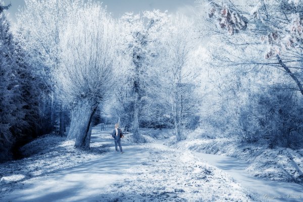Winter Stuhr Moordeich 1920 – Natur-Landschaften Fotografie | George Nevrela