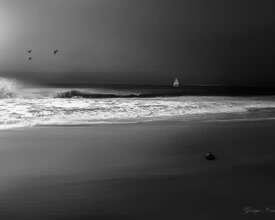Coconut Beach bw 552w