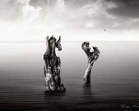 Baumstamm Duo Sepia – Naturkunst Schwarz-Weiss